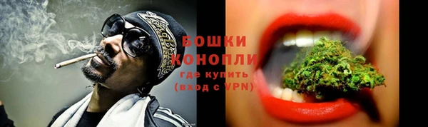 хмурый Дмитров